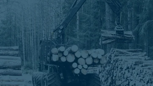 Harvester in forest