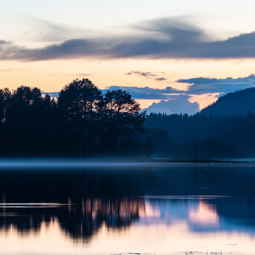 Banner_Quality-Sustainability