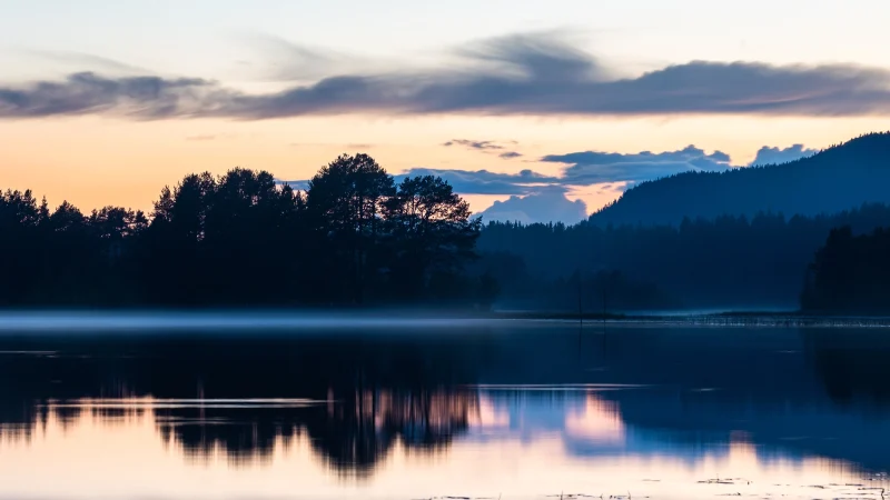 Banner_Quality-Sustainability