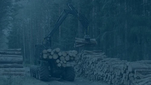 Forestry logger machine